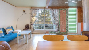 Gapyeong Monami spa pension